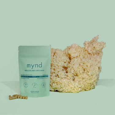 New Zealand Lion's Mane Capsules | 60 Capsules